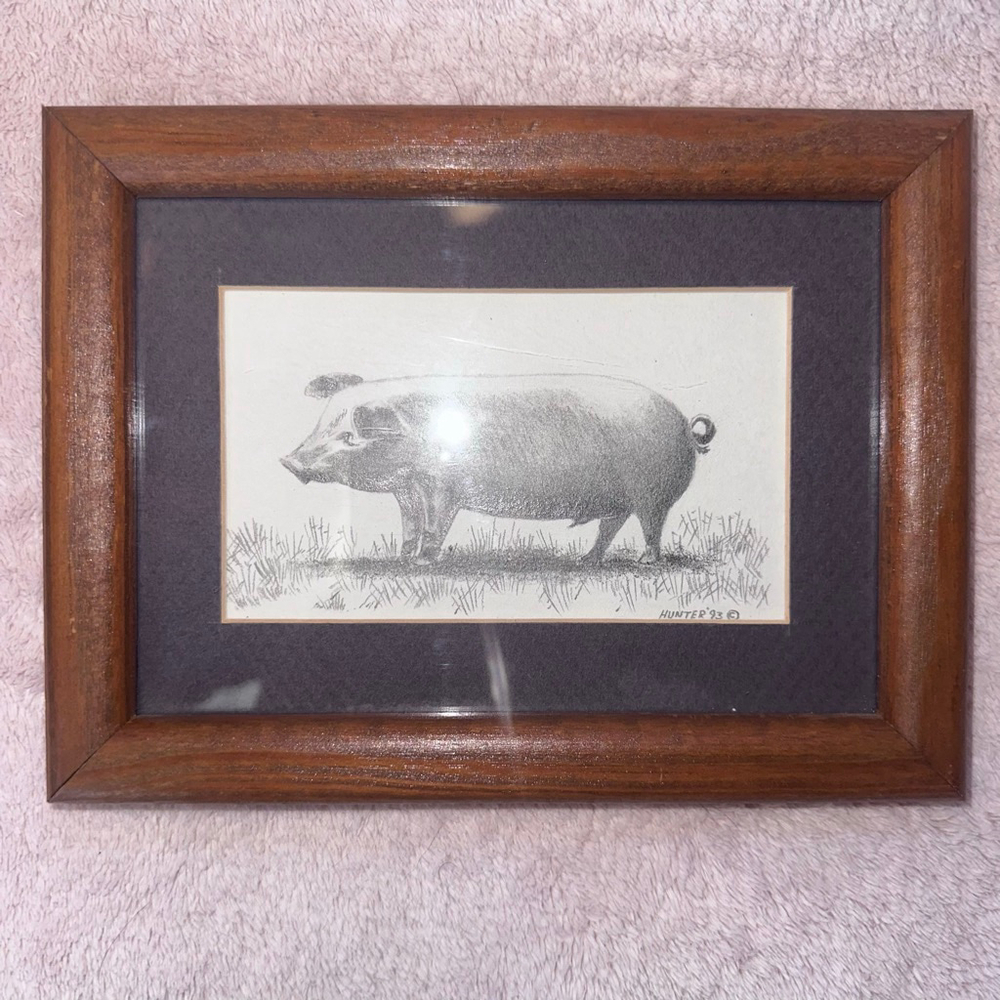 Vintage 1993 Pencil Sketch Farm Pig Signed & Dated Artist Scott Hunter Framed